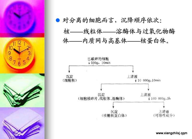 離心機(jī)知識(shí)圖解大全