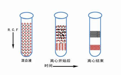 醫(yī)用離心機常用的離心方法