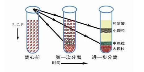 醫(yī)用離心機全知道